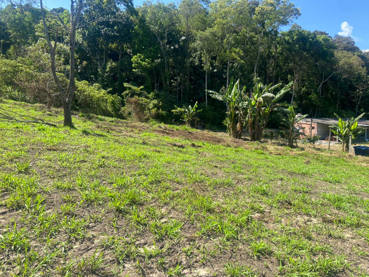 Área para Venda 