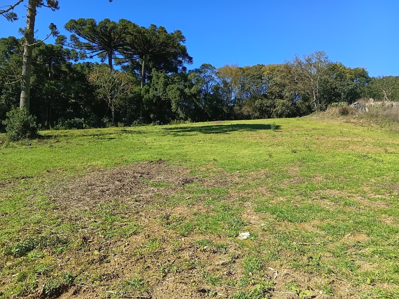 EXCELENTE TERRENO EM BATEIAS (CENTRO) – CAMPO LARGO!