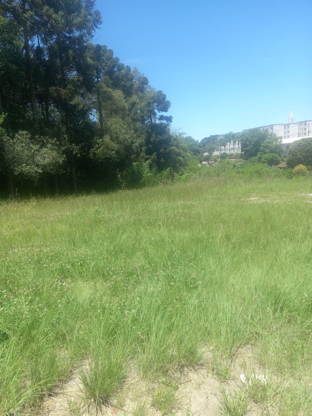 Excelente área em Araucária/PR,  para construtoras e incorporadoras!