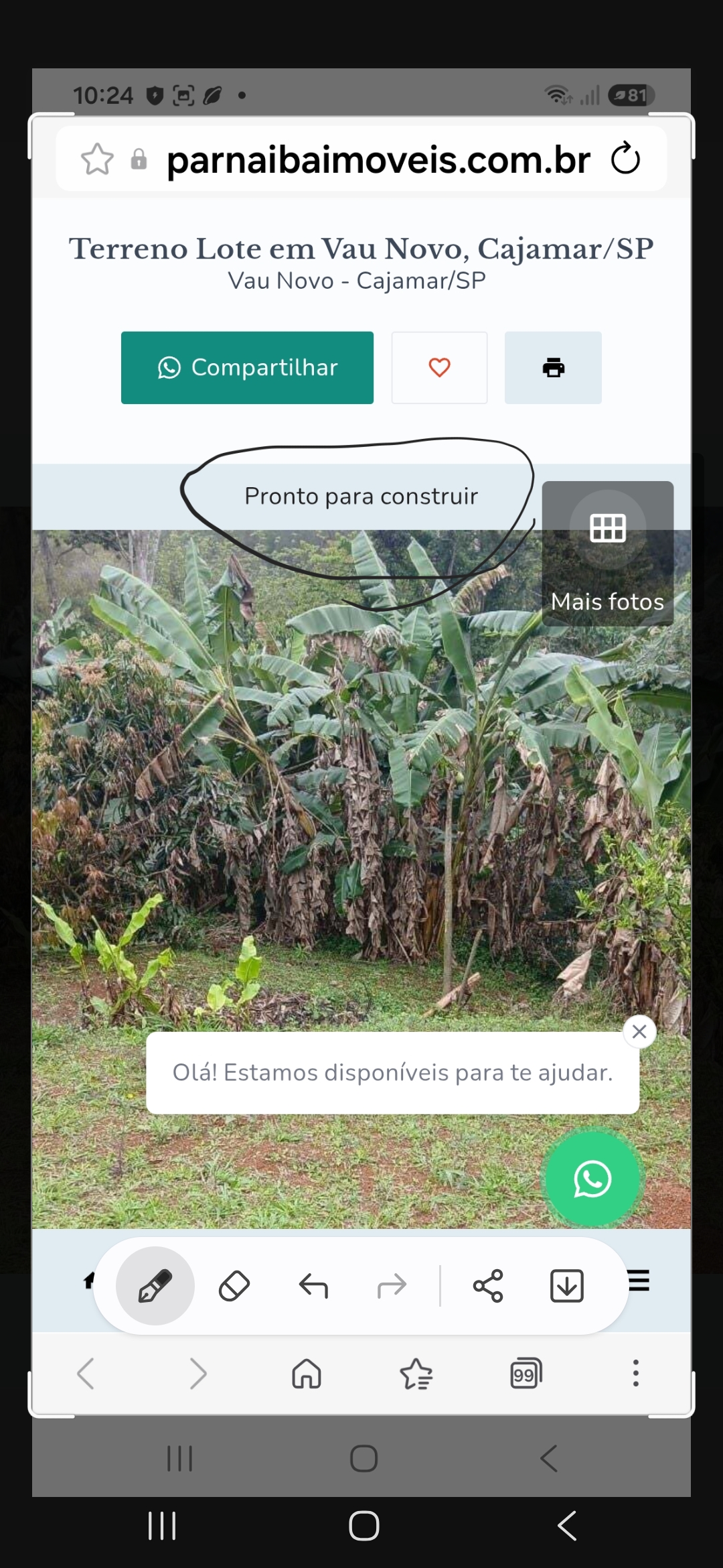 Vendo lotes 393m