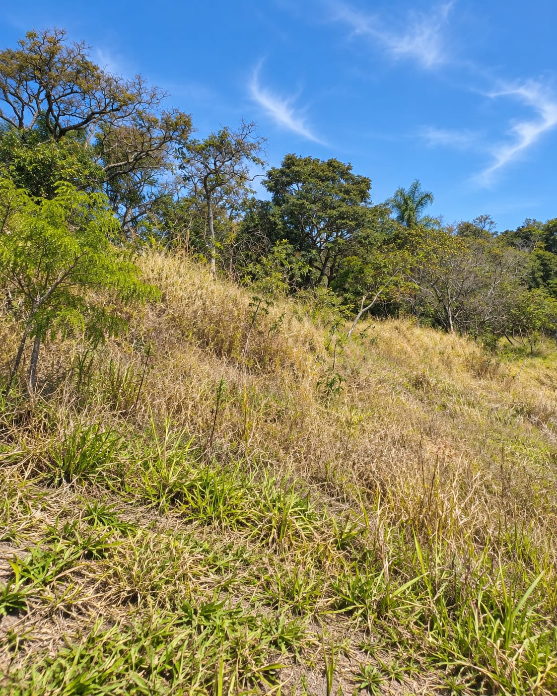 Terreno 1.672 m² em Atibaia – Platô Pronto para Construir – Vitória Régia