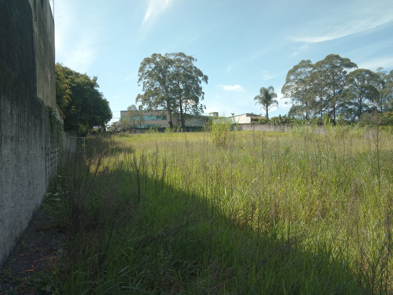 Grande Área em São Bernardo do Campo 