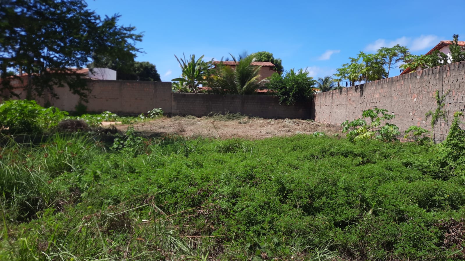 TERRENO PLANO EM MARAGOGI A 200m do mar com 364 m2