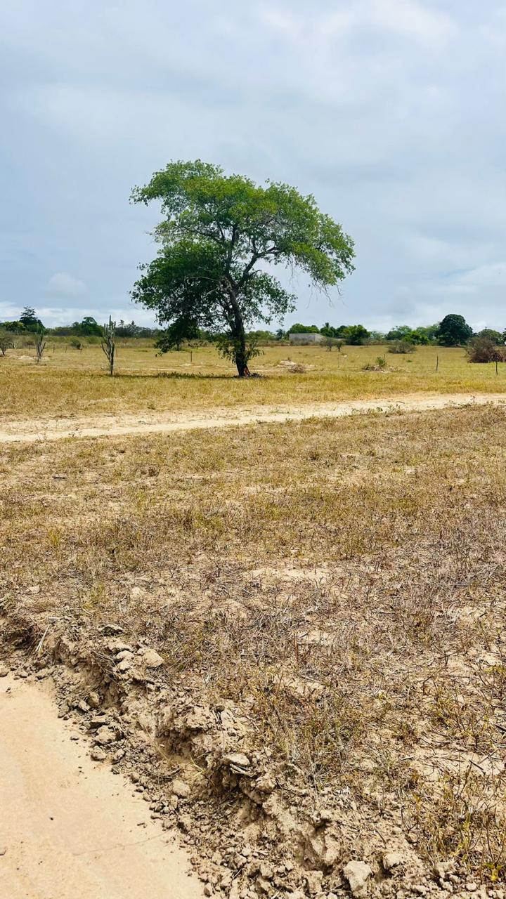 São Cristóvão 