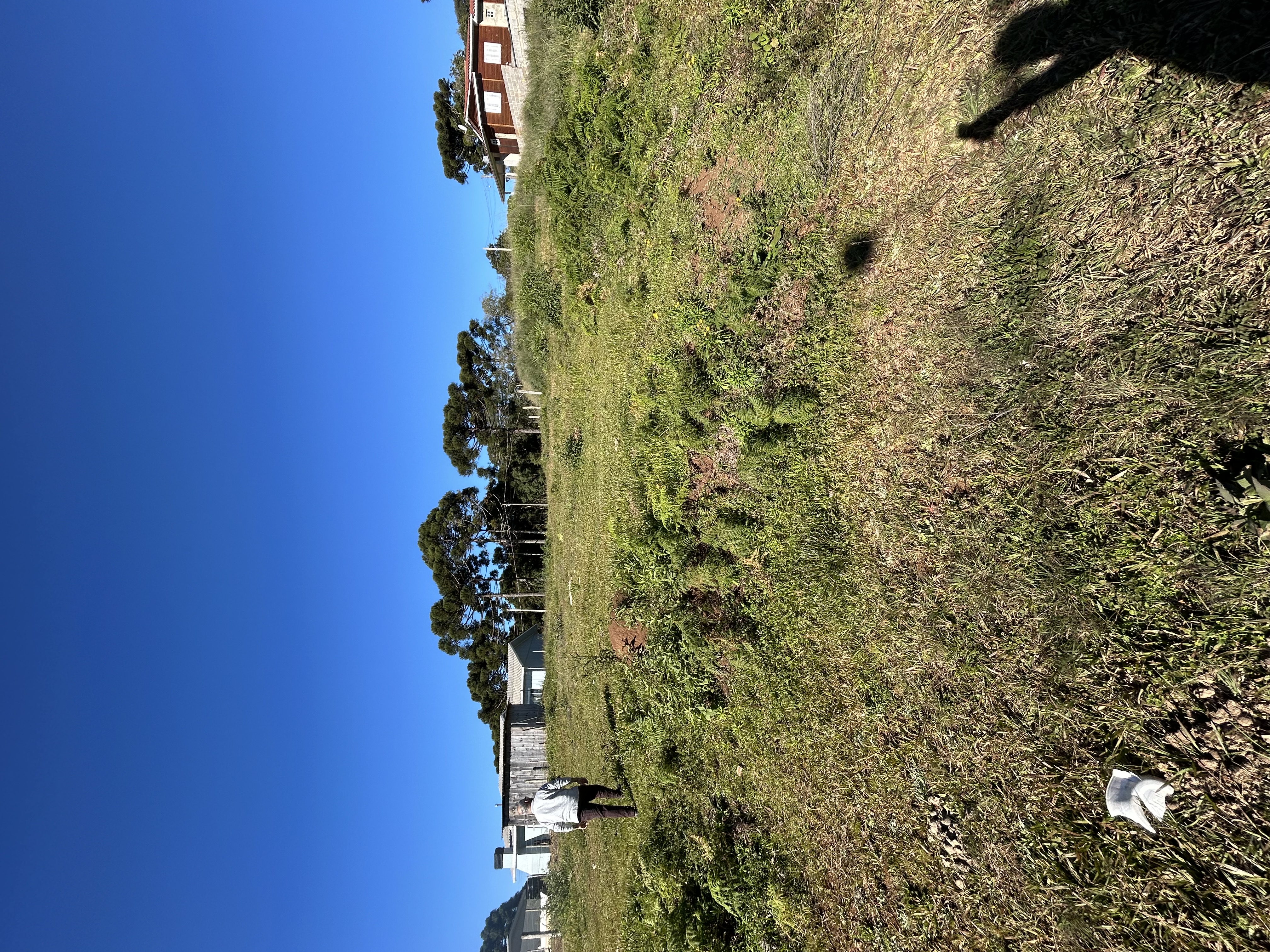 Lote plano de 200 metros quadrados 