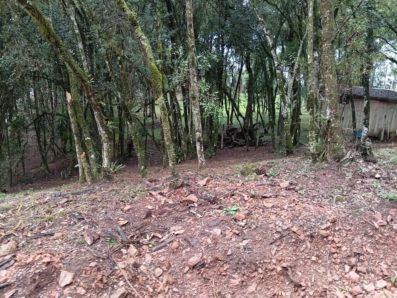 EXCELENTE TERRENO COM ÁGUA NOS FUNDOS – A 5 MIN DE SANTA FELICIDADE!