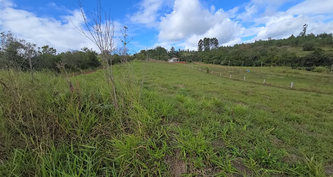 1 hectare em morungava