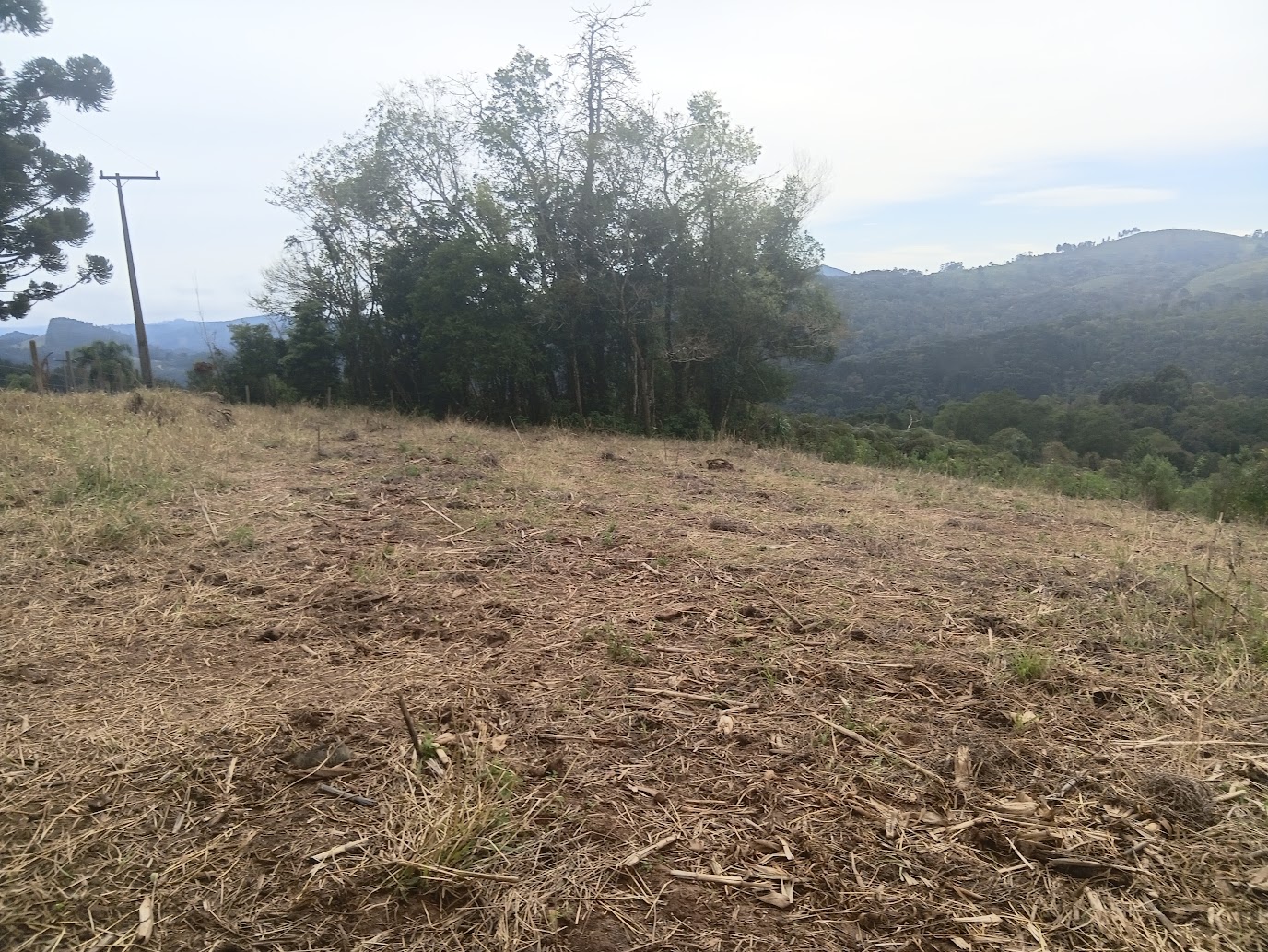 VENDO LINDO TERRENO (5.000 M2) EM BATEIAS- PROXIMO AO TRAVERSOLE