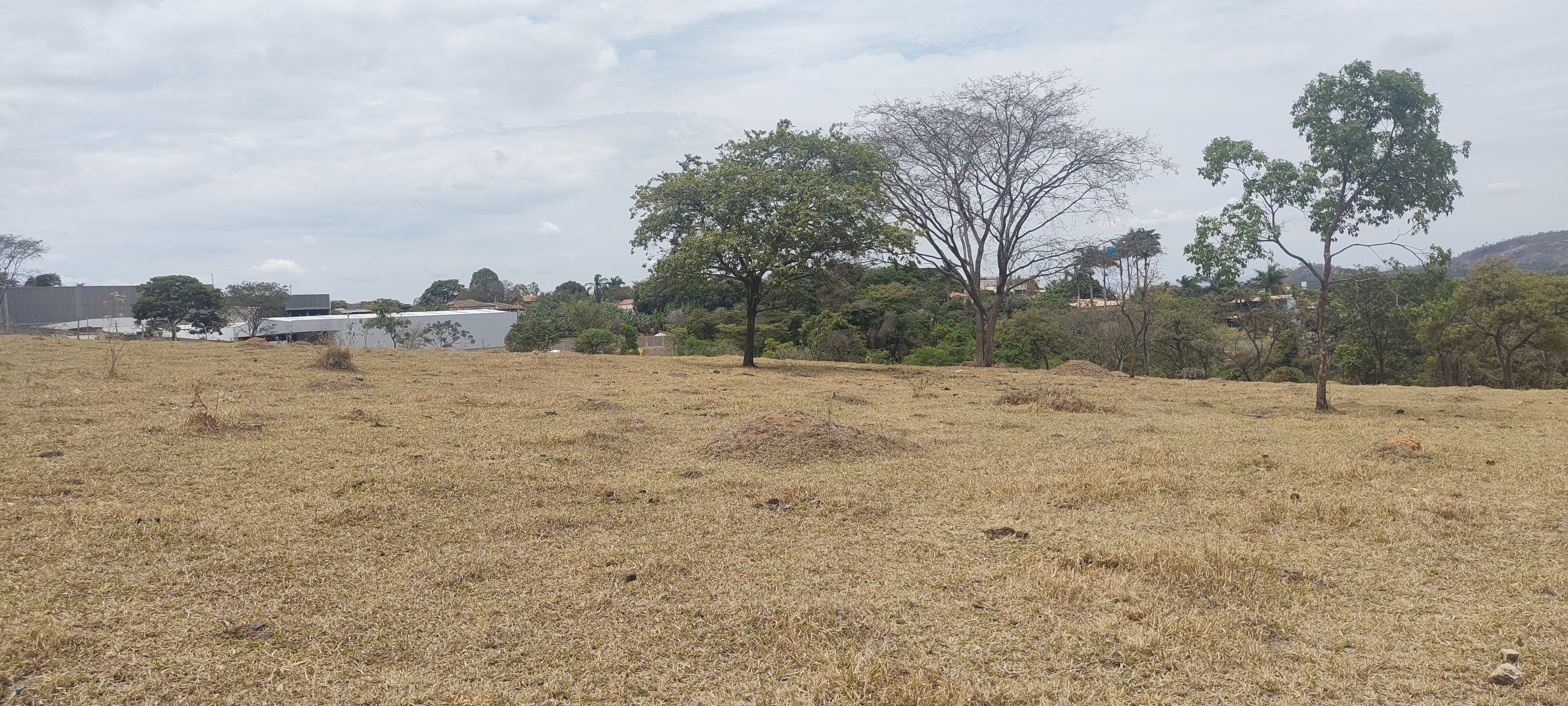 Vendo terreno 5 mil metros quadrados