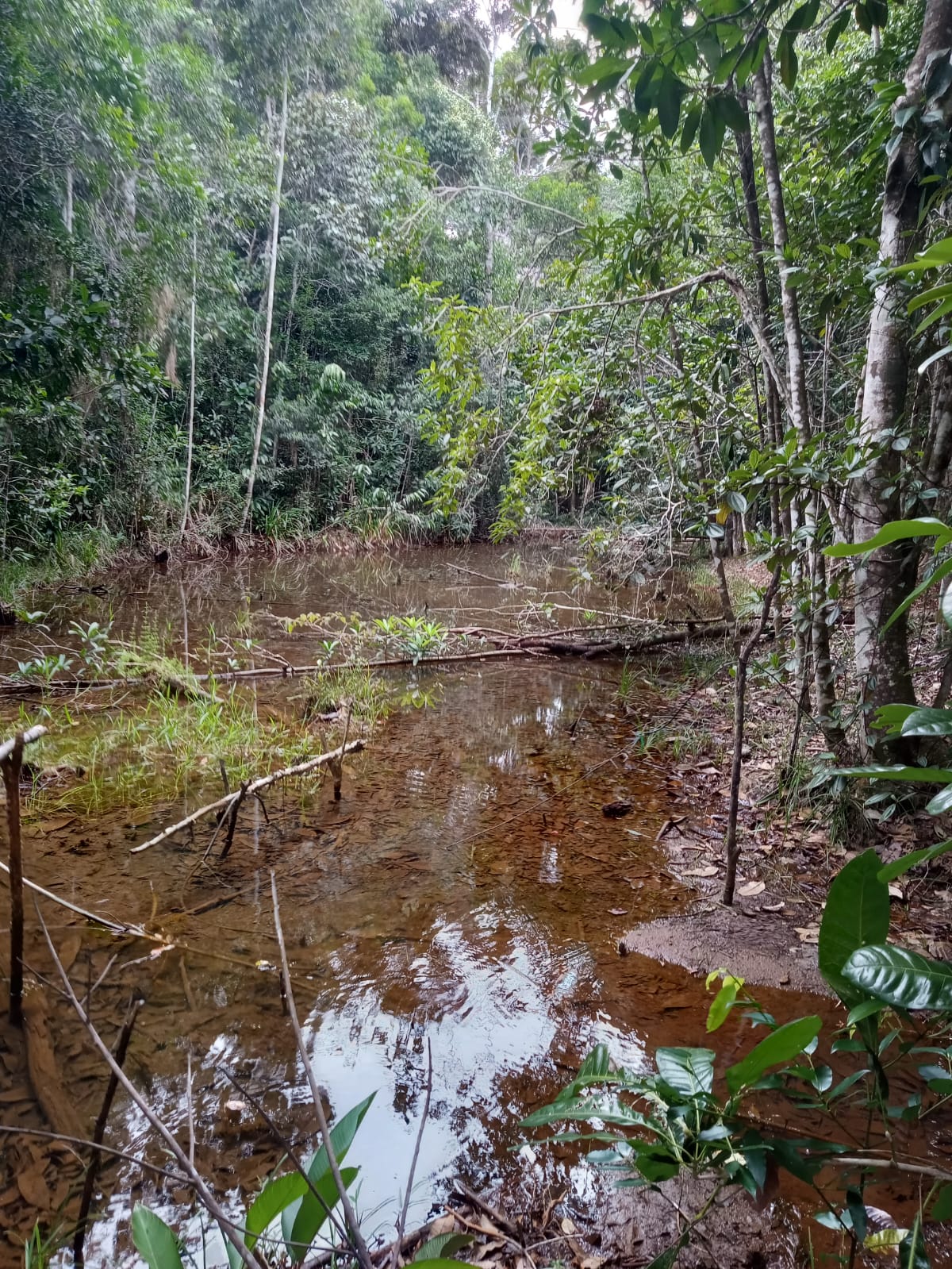 Vende-se lote em Itacaré